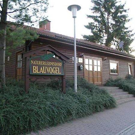 Ferienhaus Nr 32, Typ A, Ferienanlage Blauvogel, Hasselfelde, Harz Kültér fotó