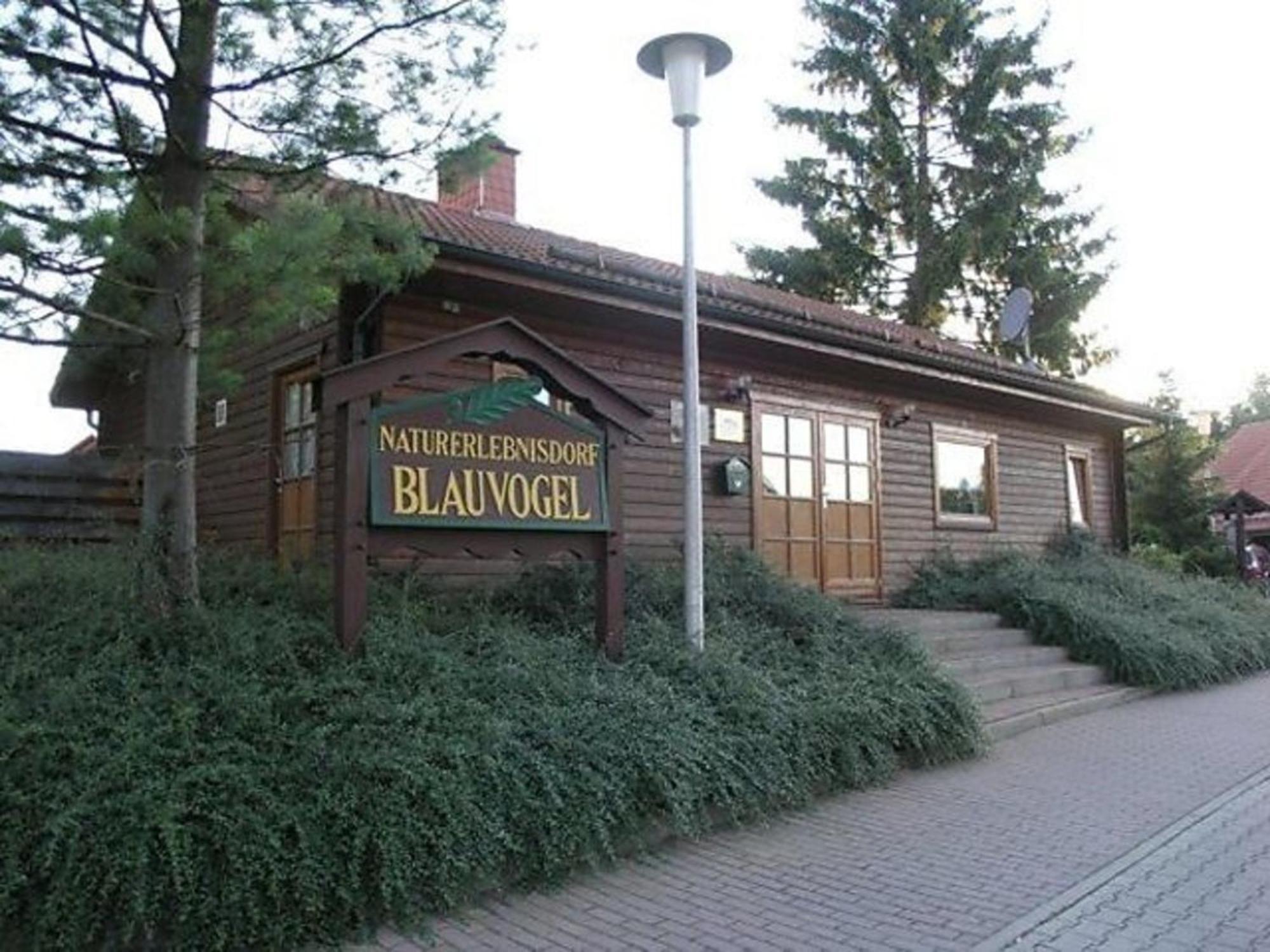 Ferienhaus Nr 32, Typ A, Ferienanlage Blauvogel, Hasselfelde, Harz Kültér fotó